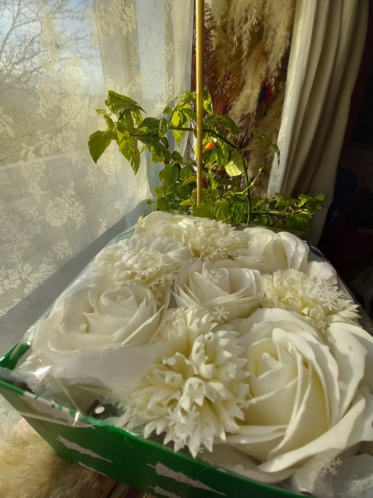 NO PRAMPRAS ALL OFF-WHITE LARGE ROSE HEADS CARNATIONS FLOWER SOAP IN CANDY CANE COLOUR DISPLAY BOX