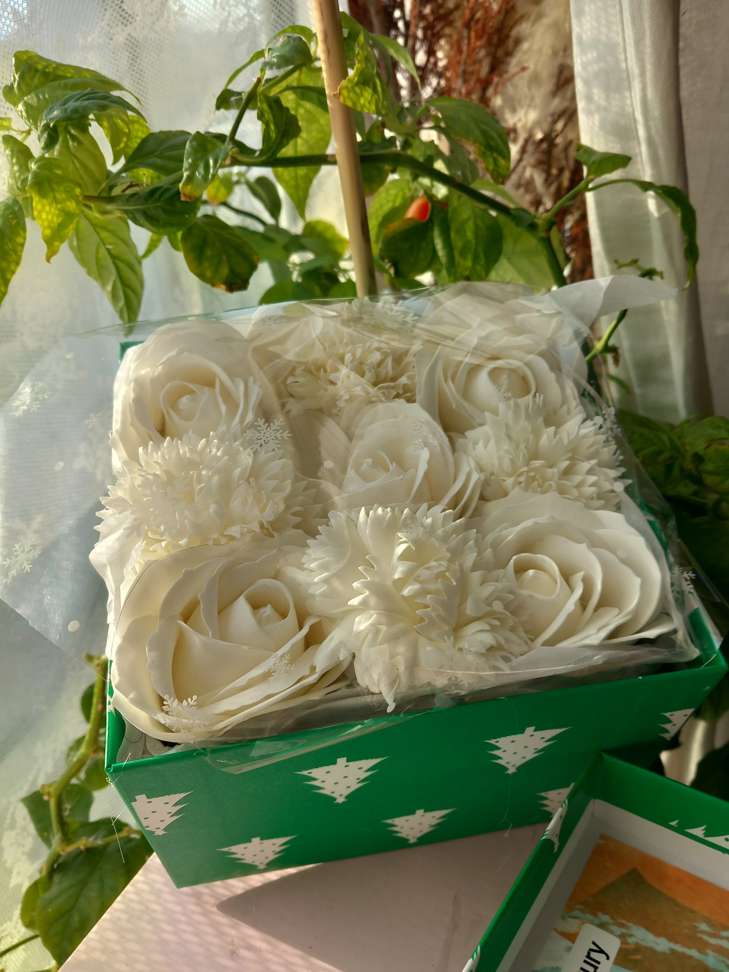 NO PRAMPRAS ALL OFF-WHITE LARGE ROSE HEADS CARNATIONS FLOWER SOAP IN CANDY CANE COLOUR DISPLAY BOX