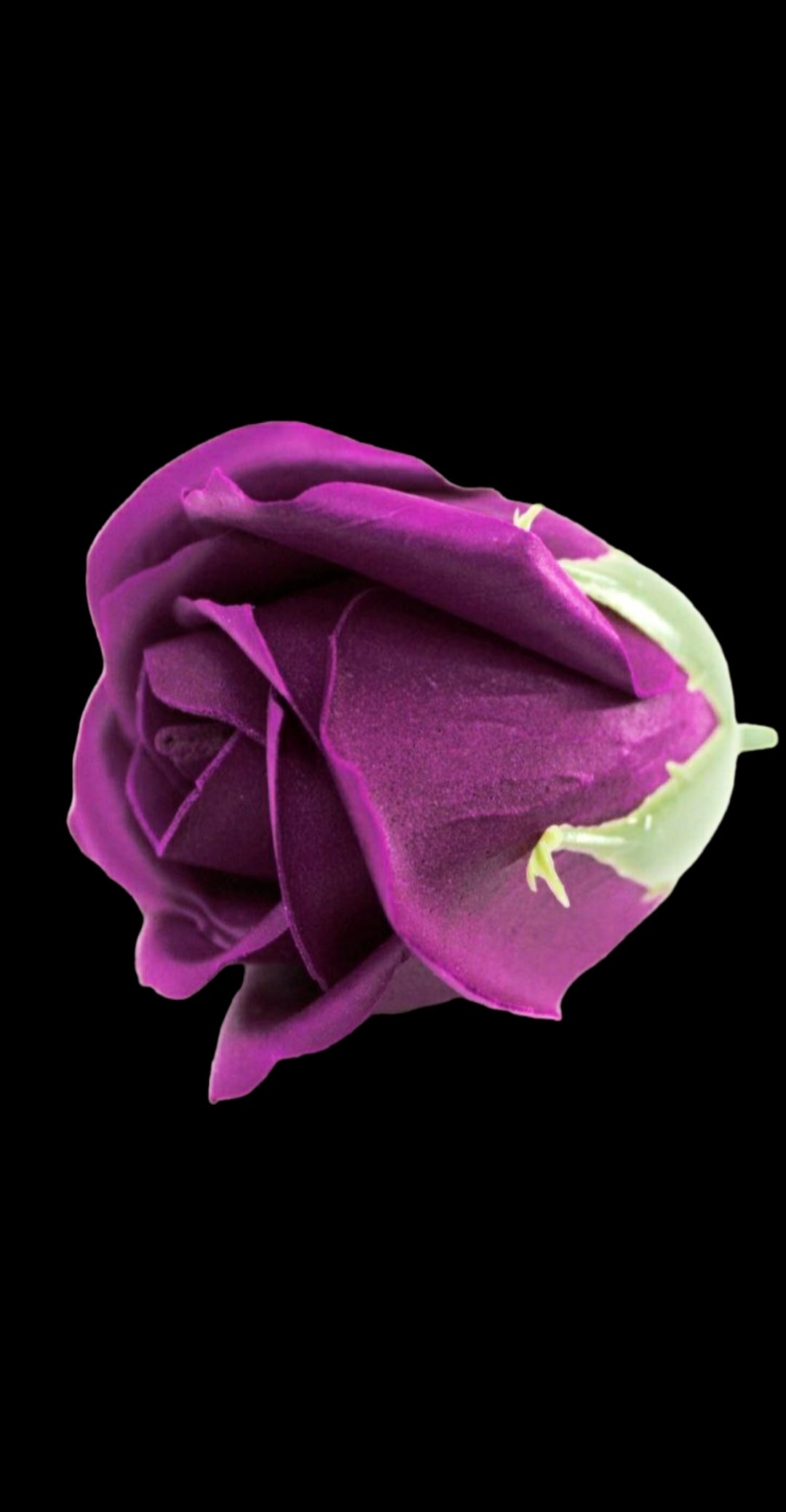 24 ROSE HEADS FLOWER Soap Bouquet Box - Medium Size Rose - Deep Violet