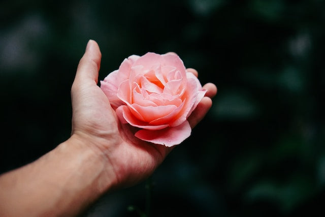 9 SOAP FLOWERS ROSES SKIN CARE