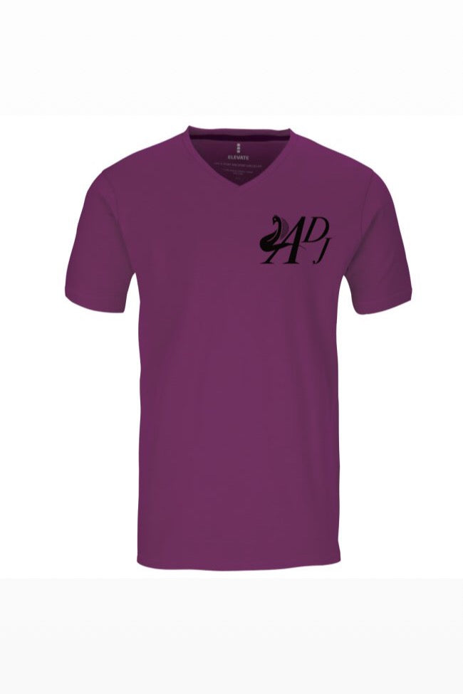 PLUM SHORT SLEEVE V-NECK T-SHIRT
