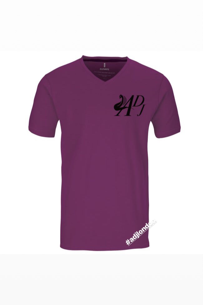PLUM SHORT SLEEVE V-NECK T-SHIRT