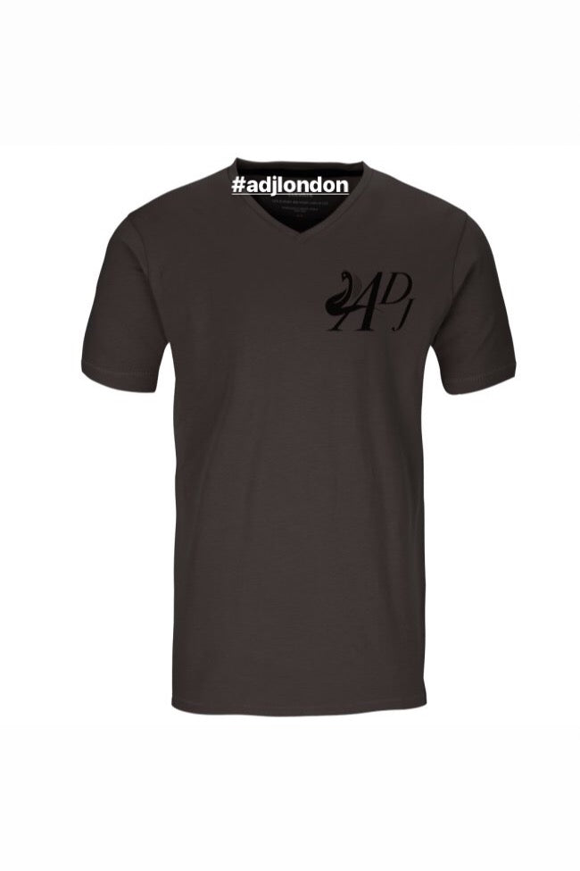 ANTHRACITE SHORT SLEEVE V-NECK T-SHIRT