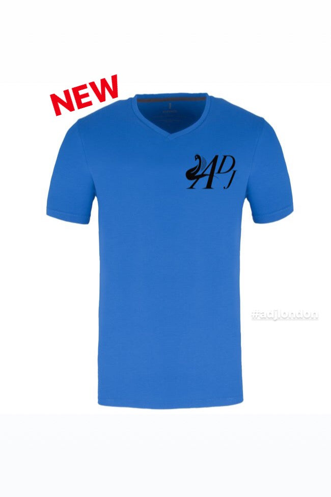 BLUE SHORT SLEEVE V-NECK T-SHIRT