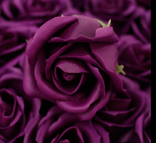 24 ROSE HEADS FLOWER Soap Bouquet Box - Medium Size Rose - Deep Violet