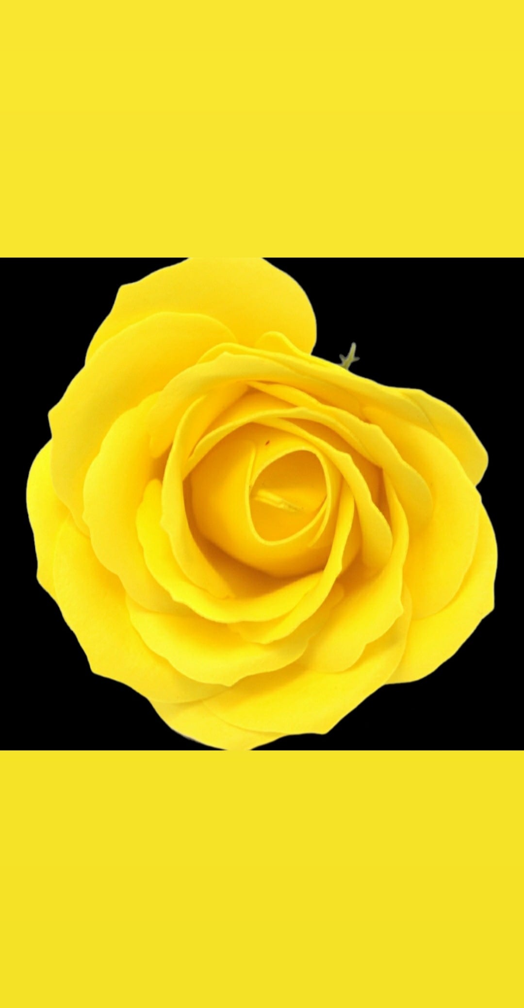24 YELLOW ROSE HEADS LARGE SIZE FLOWER Soap Bouquet Box